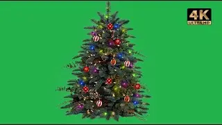 xmas tree green screen | christmas tree green screen background video