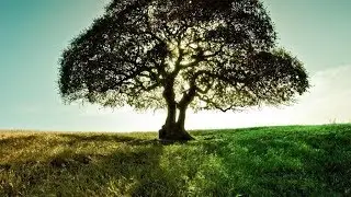How to convert BURNT OUT Grass into GREEN using GIMP | Photoshop Alternative | #92