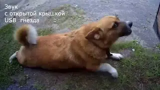 Тестовое видео Soocoo S80