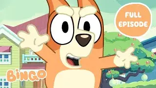 Bingo Magic! ✨ 🧡 | Bluey Full Episode | Bingo - Official Channel