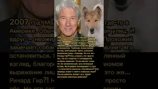 Собака-двойник Ричарда Гира?! Удивительное совпадение! 🐶🎬 