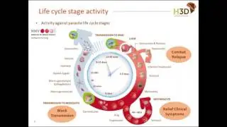 2017 02 15 15 01 Transforming ‘hits’ into ‘leads’   Two malaria drug discovery case studies