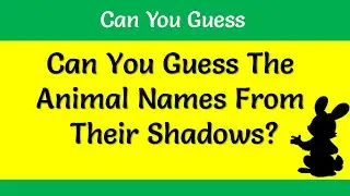 Can You Guess the Animal Names by Their Shadows?