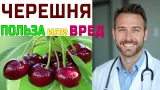 🍒 ЧЕРЕШНЯ 🍒 ЛЕЧЕБНЫЕ СВОЙСТВА И ПРОТИВОПОКАЗАНИЯ ДЛЯ ОРГАНИЗМА