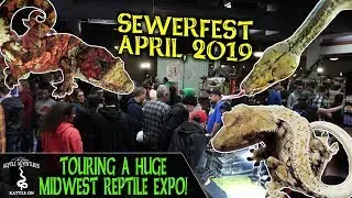 TOURING A HUGE MIDWEST REPTILE EXPO!