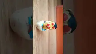 скибиби туалет