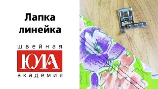 Лапка линейка. Обзор