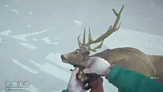 Просто живу в Канаде. Один, в заброшенной деревне. - The Long Dark