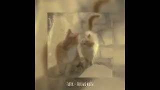 flëur - теплые коты {speed up}[music_hana♪] прочтите описание пожалуйста ♡