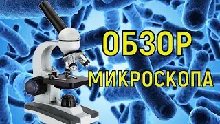 Отличный подарок ребенку. Обзор микроскопа "МАЛЕНЬКИЙ УЧЕНЫЙ-4" модель ZY852801