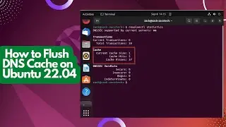 How to Flush DNS Cache on Ubuntu 22.04 LTS