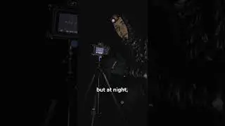 Do this if you shoot night photos (astrophotography)...