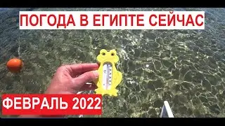 Погода в Египте в феврале сейчас Хургада 2022