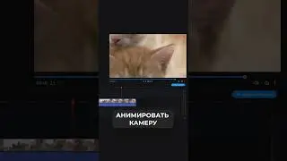 Крутые Функции Movavi Unlimited! 