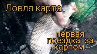 Ловля карпа ,или первая поезка за карпом.
