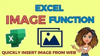 How to Insert Images in Excel Cells Using the IMAGE Function