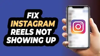 How to Fix Instagram REELS NOT SHOWING in 2021 (Updated)