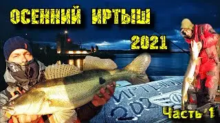 Рыбалка на Иртыше 2021 в Сентябре  Судак VS Щука  Джиг атака