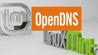 How to setup OpenDNS on Linux Mint