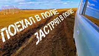 Измотанная жизнью цапля в пионерлагере. Застрял в грязи