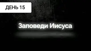 День 15 | Понимайте смысл происходящего | Заповедь 3 | Радуйтесь |  