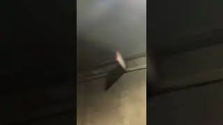 Что за музыка? 