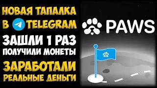 PAWS – НОВАЯ ТАПАЛКА В TELEGRAM ЗА ДЕНЬ НАБРАЛА БОЛЕЕ 2 МЛН УЧАСТНИКОВ!
