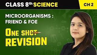 Microorganisms: Friend and Foe - One Shot Revision | Class 8 Science Chapter 2 | CBSE 2024-25