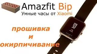 Прошивка и окирпичивание часов 