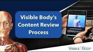 Visible Body & Our Commitment to Accuracy | An Inside Look