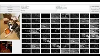 Intermediate convolution layer visualization-VGG-16