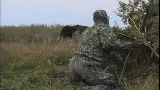 Traditional Buffalo Hunting with a Spear
