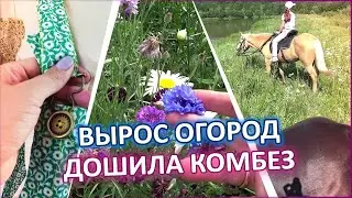 Доделала себе новый комбинезон, каталась на лошадях и ходила в пещеру.