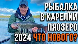 Рыбалка в Карелии, Пяозеро 2024 что нового?