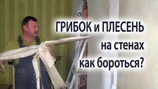 Плесень и грибок на стенах и гипсовой штукатурке как бороться и почему появляется?