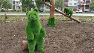 Пять медведей замечены на одной из транспортных развязок Сургута