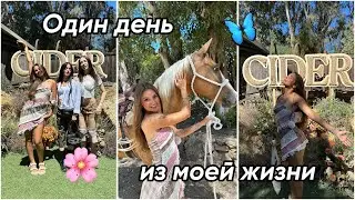 один день из моей жизни ♥