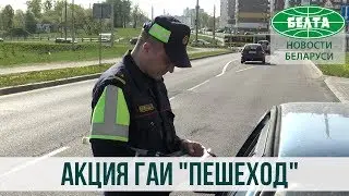 Акция ГАИ Пешеход