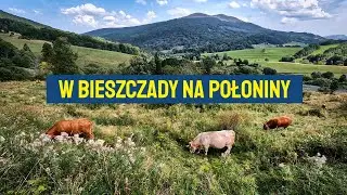 W Bieszczady na Połoniny - Chatka pod wiszącą siekierą