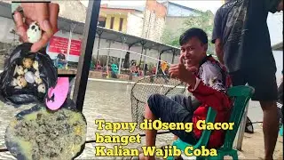 Tapuy diOseng Ternyata Gacor Bro_Kalian Wajib Coba!