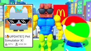 I Added the SUMMER Update Early to Pet Simulator X!