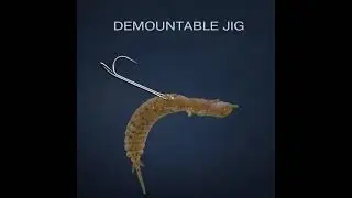 Fanatik Larva - Introduction