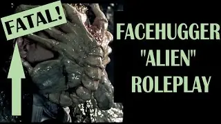 ASMR **V** Facehugger 