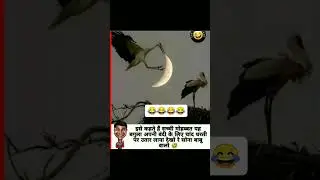 इसे कहते हैं सच्ची मोहब्बत कुछ तो सीखो😂😂