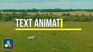 How to Add Text Animation In Davinci Resolve 17