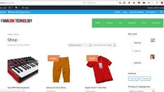Add Mobile Money Payment To Your E commerce Website with Wordpress