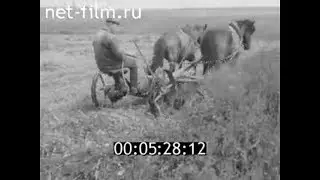 1962г. дер. Путилово колхоз Красный путиловец Кашинский район Калининская обл