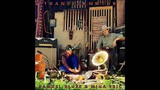 Transformator - Samuel Blues & Miha Erič   (Full Album, 2019)