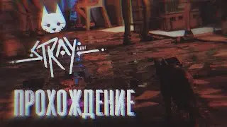 ТРУЩЁБЫ В CUBERPUNK ► Stray [ПРОХОЖДЕНИЕ НА СТРИМЕ]