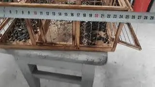 размеры четырёх хлопковой клетки